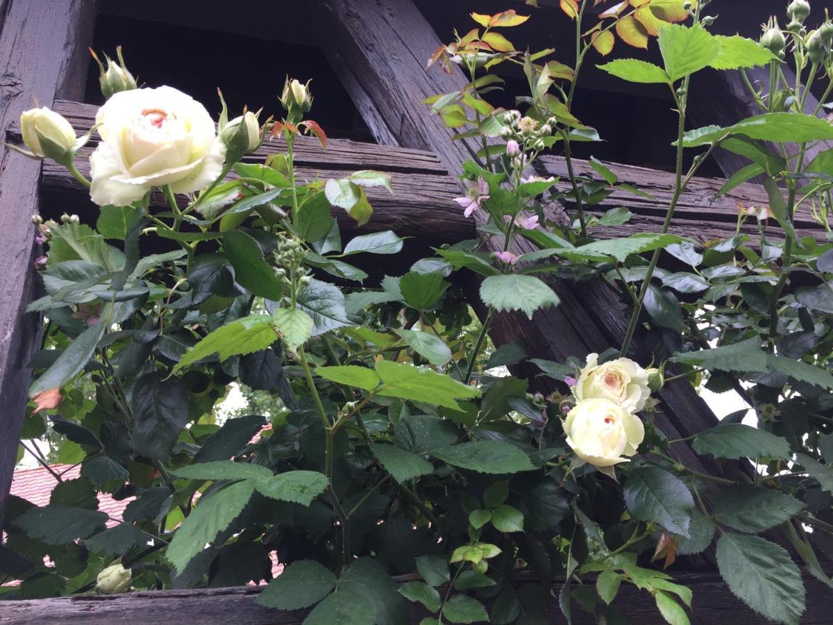 Bourgheim B&B Le Lodge المظهر الخارجي الصورة