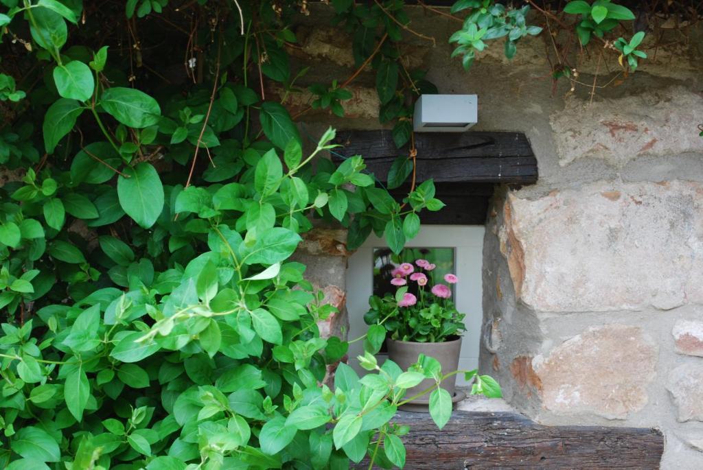 Bourgheim B&B Le Lodge المظهر الخارجي الصورة